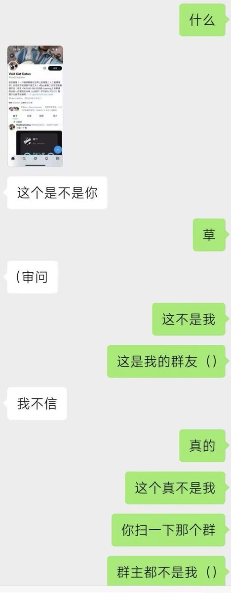 Void Cat Catus tweet media