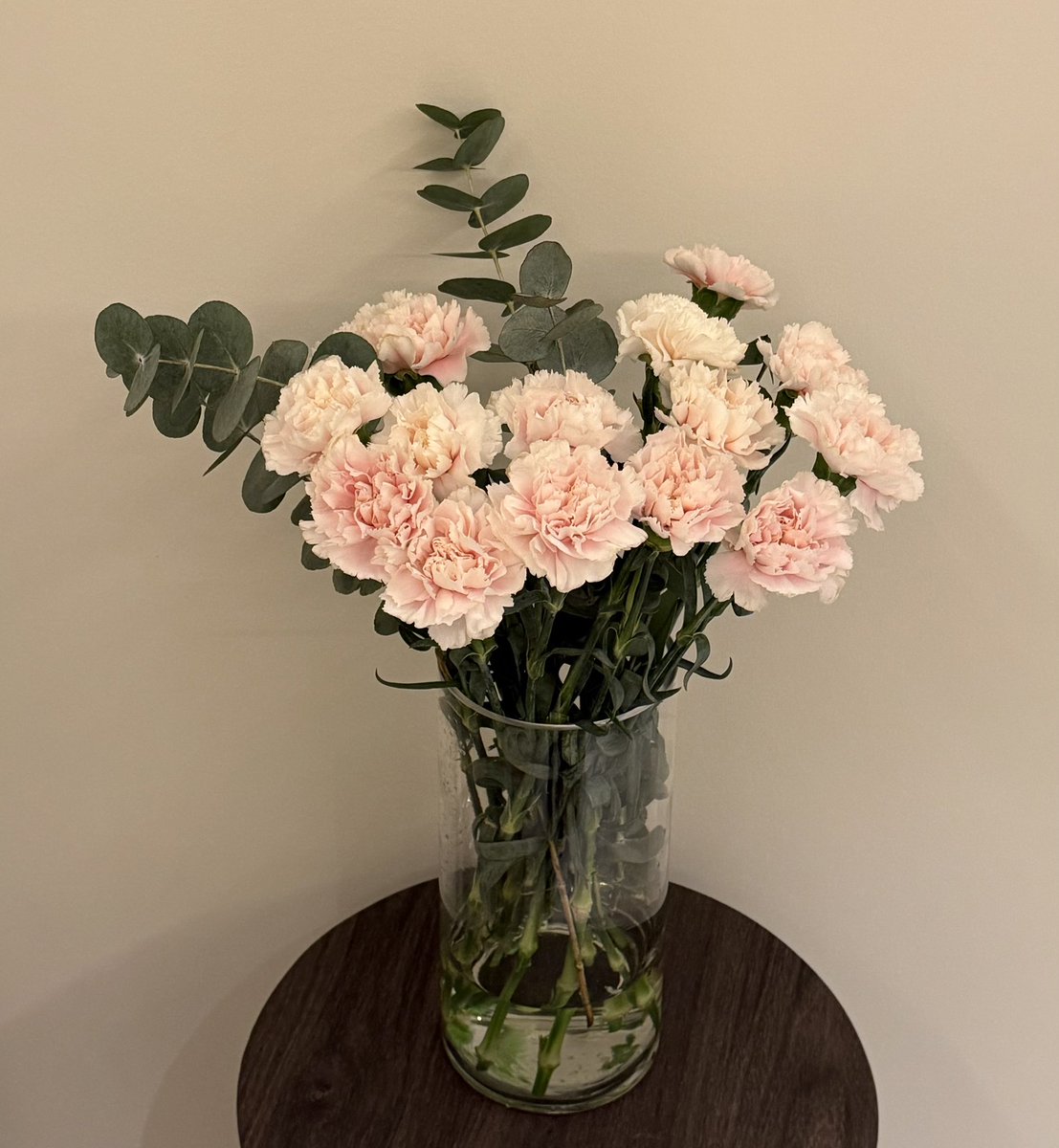 m_1win's tweet photo. جمال القرنفل 🌸✨ https://t.co/1Ogg18P10u