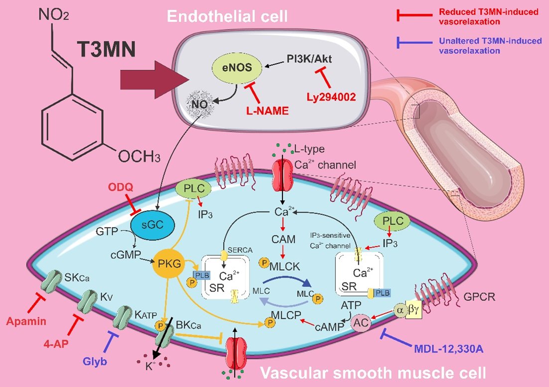 Journal of Cardiovascular Pharmacology tweet media