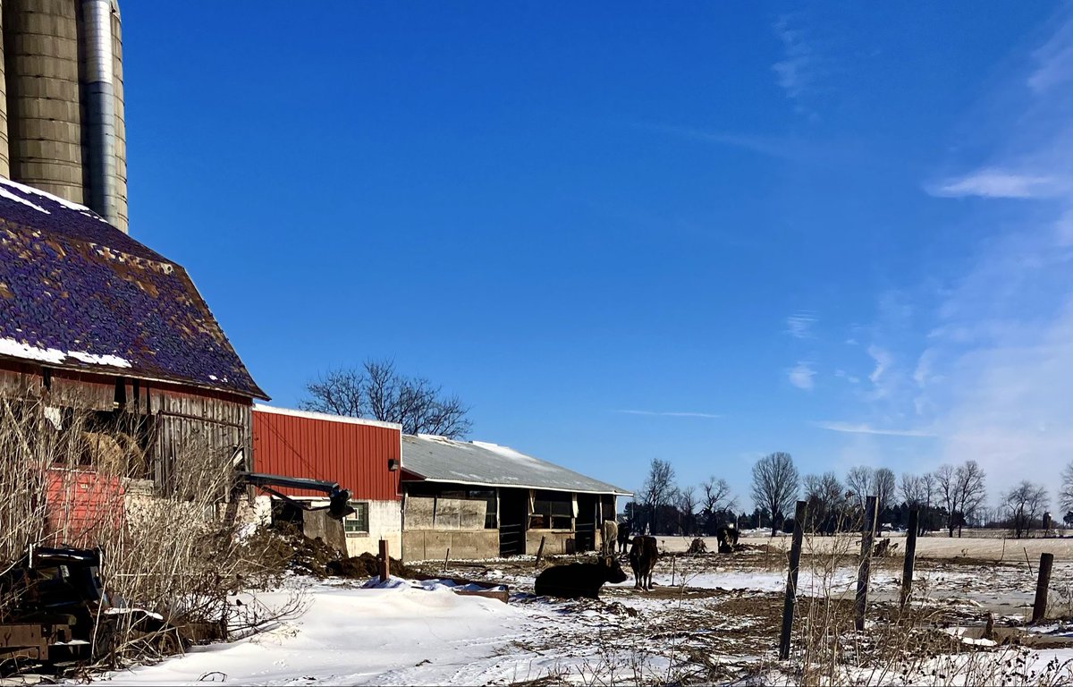 Dave Steavpack tweet media