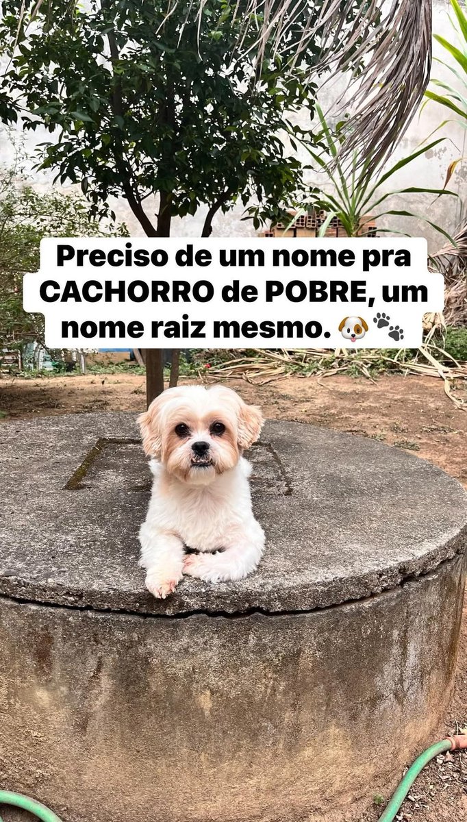 lscec22's tweet image. qual nome?