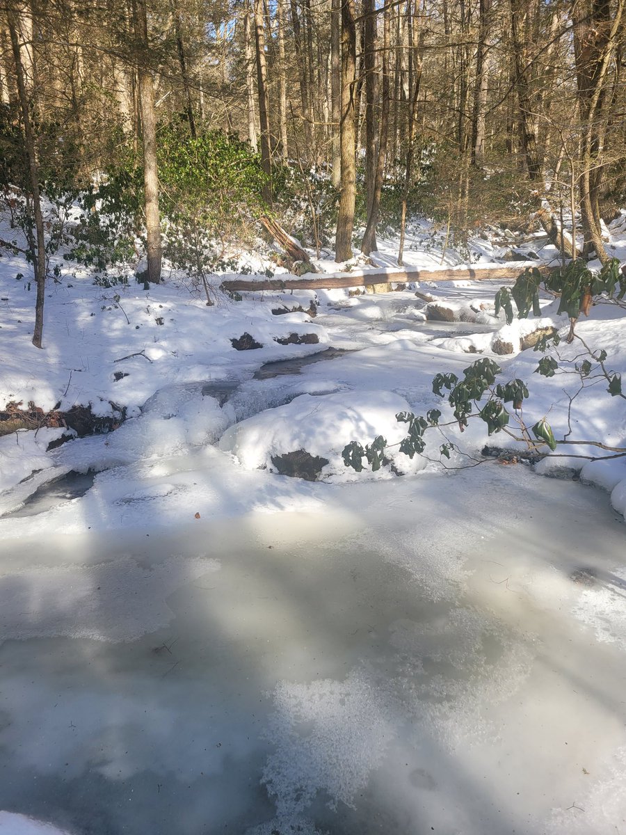 SwardJeff's tweet photo. Can confirm.  It's freaking cold out.  -4⁰F last night and now 6⁰F at high noon.  The creek right behind my house freezes over.  Winter wonderland!  And tonight, 18" of snow...!!!  😵😖😁😱🥴 https://t.co/tpLz0wejJB