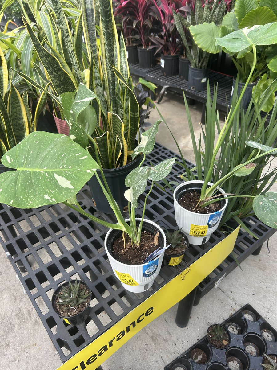 dope, it is tom tweet media