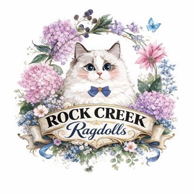 JaneBalter's tweet image. #NewProfilePic