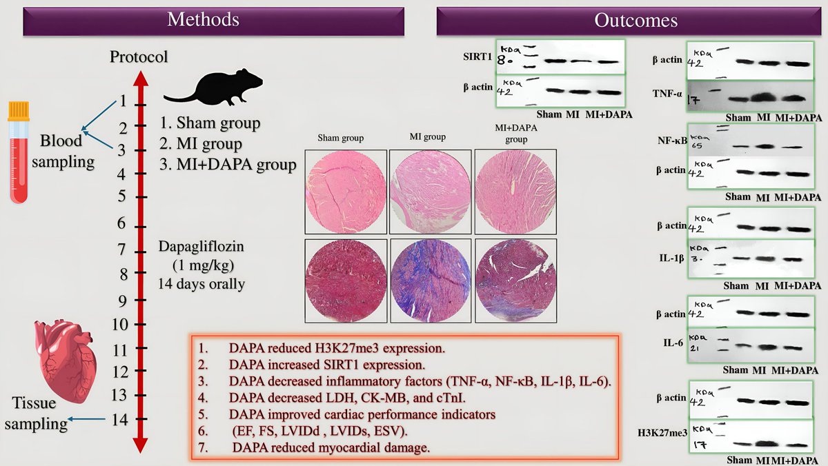Journal of Cardiovascular Pharmacology tweet media