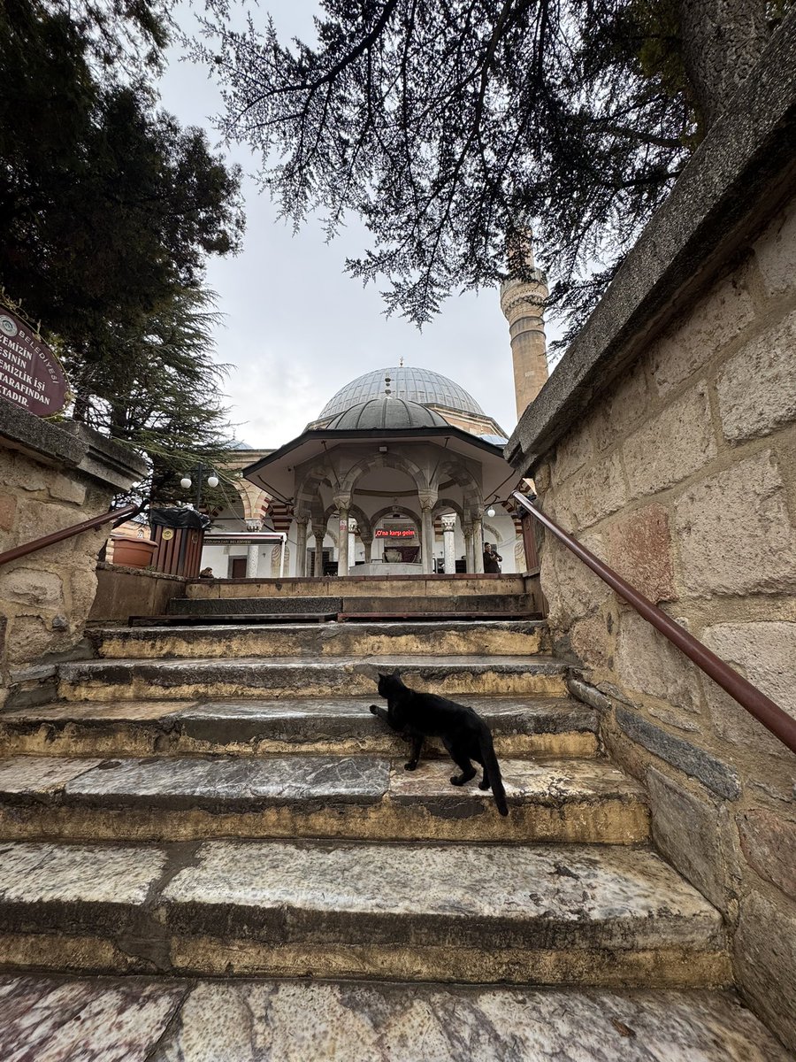 NigoraFazliddin's tweet image. A lovely day today w/ my friend @osmankepenektr and his family in #Turkiye’s #Eskishehir - an amazing city with its own traditions and history. We visited 16 century #Ottoman Mosque &amp;amp; social complex in Odunpazari district! Will share a brief video from the inside of the 🕌 later