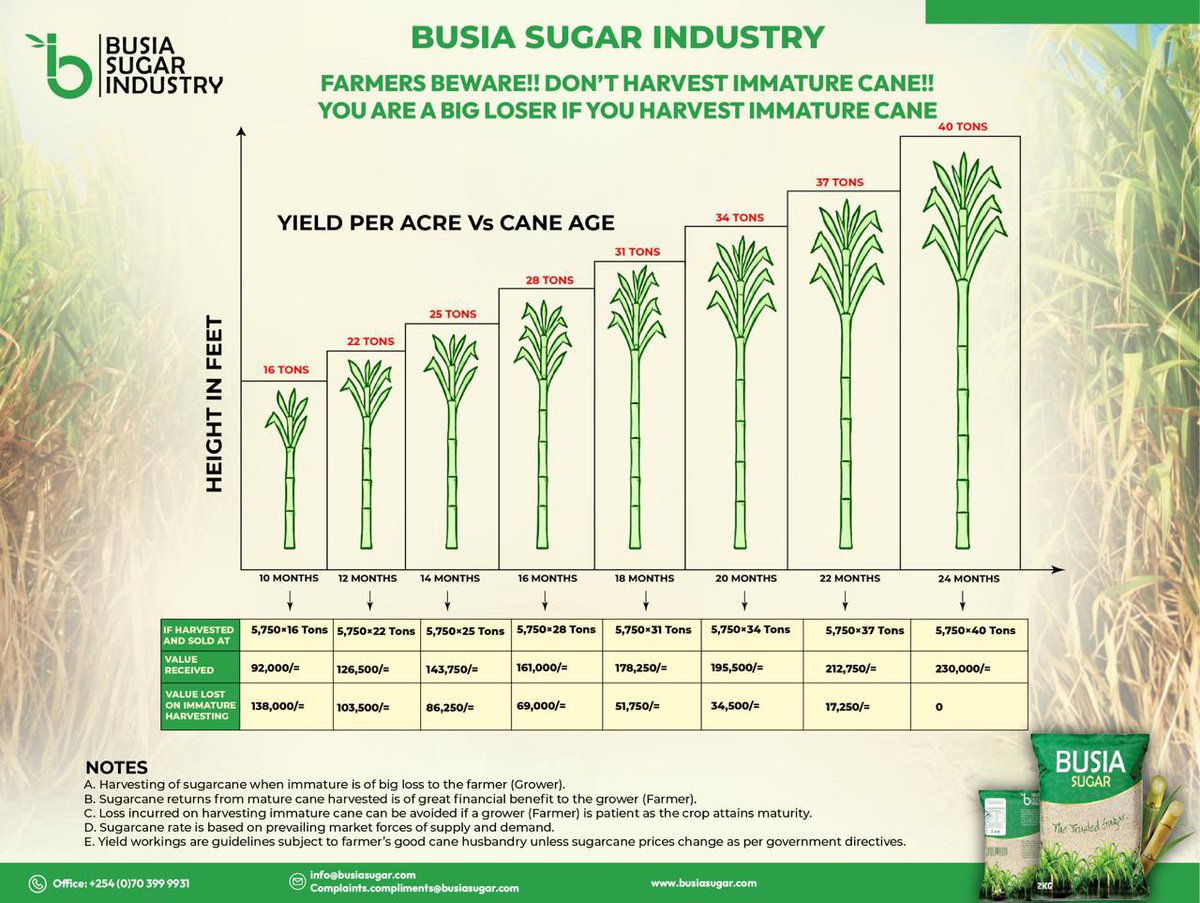 Dear Esteemed Farmers, 

harvesting young cane leads to major losses in yield and income. Patience pays — mature cane gives higher returns. Think long term, not short term. 🌱💡#Sugar #WilliamEst1stFMinSingapore  #kenya 
.