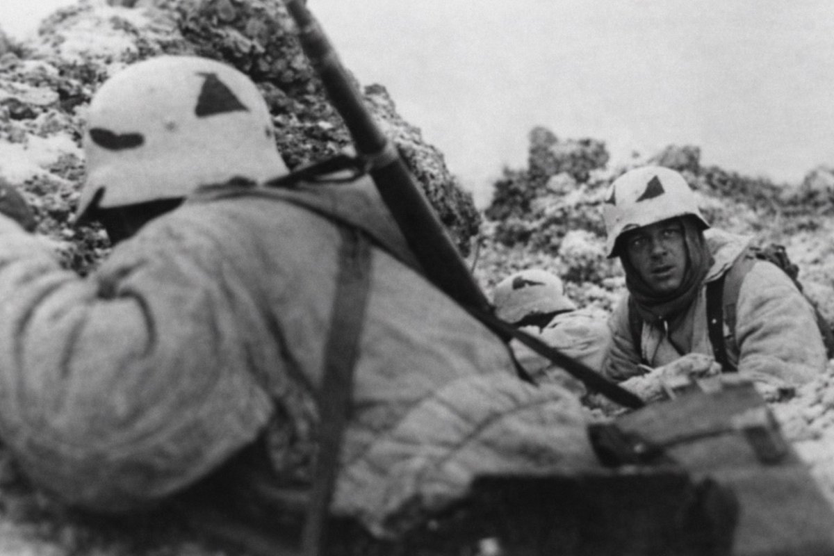 StalingradDailyDiary tweet media