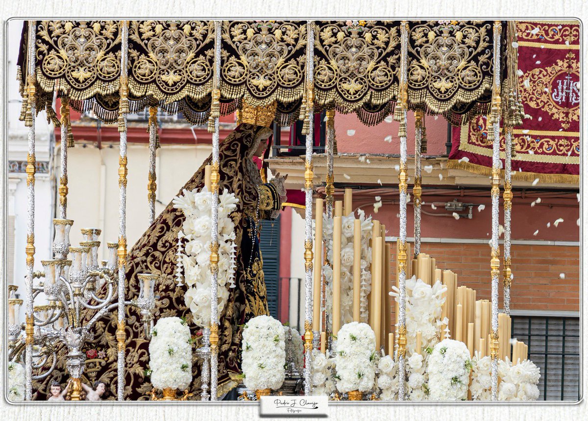 Semana Santa 2025. Refugio.
<a href="/hdadsbernardo/">Hermandad de San Bernardo</a> 
#semanasanta2025 #sevilla #refugio #canoneosr #tdscofrade #semanasantasevilla #barriodesanbernardo #Petalada