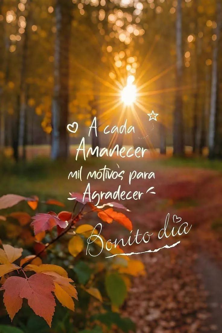 trejojj's tweet photo. @clauvillag ¡Bonito día para ti! https://t.co/HmJGUdKSMA