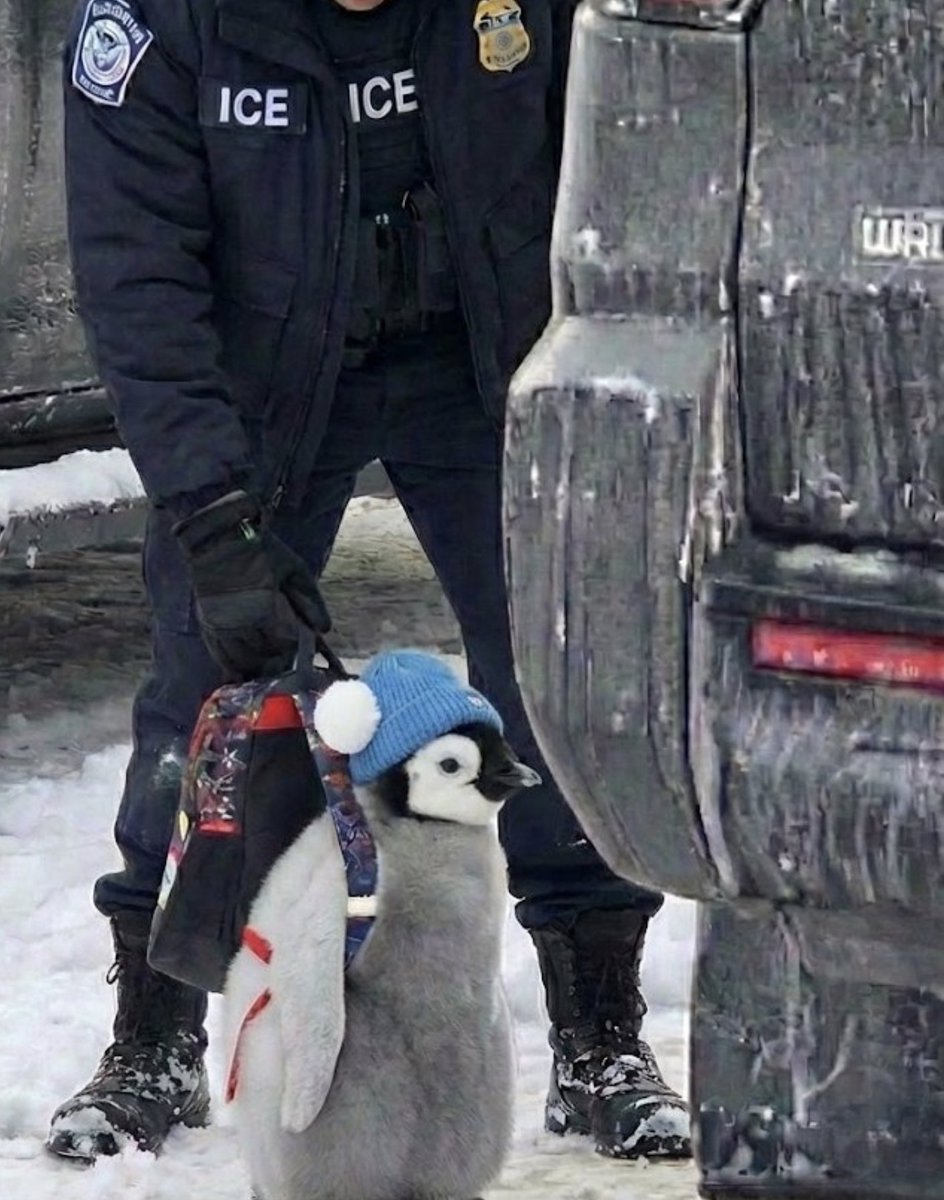 BREAKING: ICE detains 4 month old penguin in Minnesota
