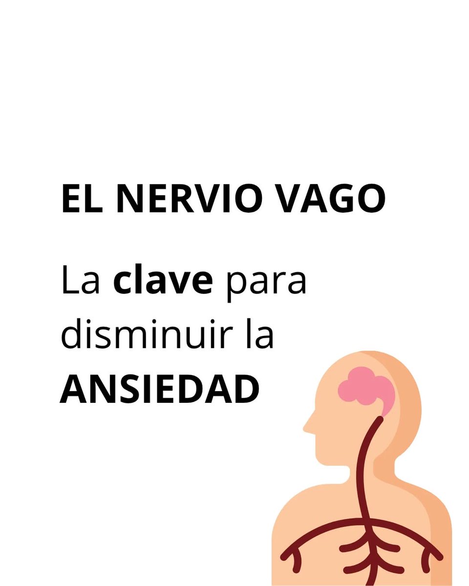180Grado5's tweet photo. ✨NERVIO VAGO✨

La clave para disminuir la ansiedad.

🧵_🧵 https://t.co/rVoCgs5LNC