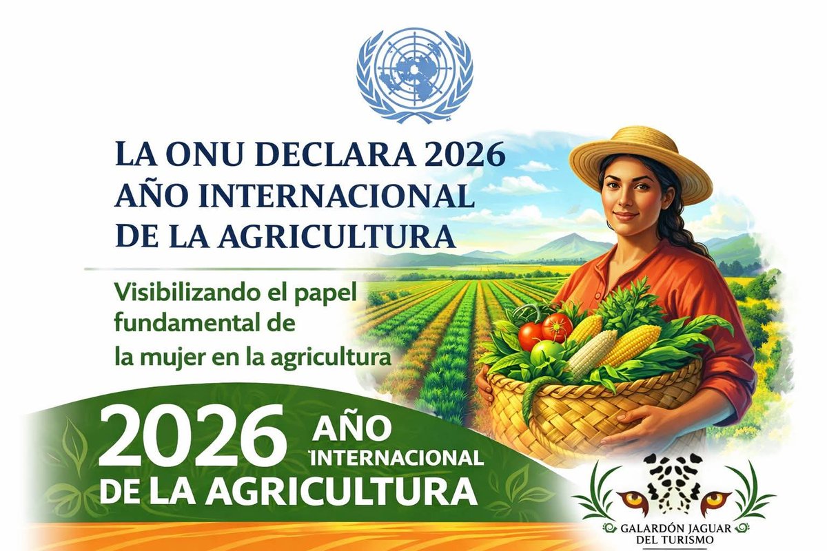 AmitYuc's tweet photo. AL MISMO TIEMPO SE ABORDAN LAS BRECHAS DE GÉNERO Y DESIGUALDAD QUE ENFRENTAN LAS MUJERES DEL SECTOR. https://t.co/HPJBxnMTXv