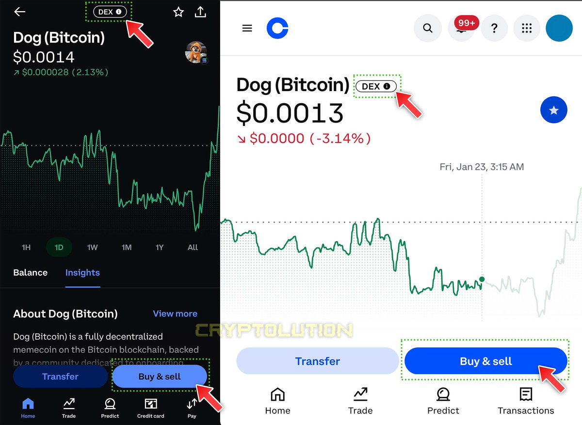 <a href="/shaaa256/">shaaa</a> <a href="/solana/">Solana</a> Confirmed. $DOG (Solana wrapped) on @Coinbase.