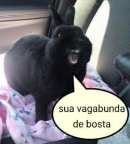 baixandoyaoi's tweet image. queria ter vivido algo assim

minha mãe na primeira clarividência de que eu vou errar já é assim comigo: