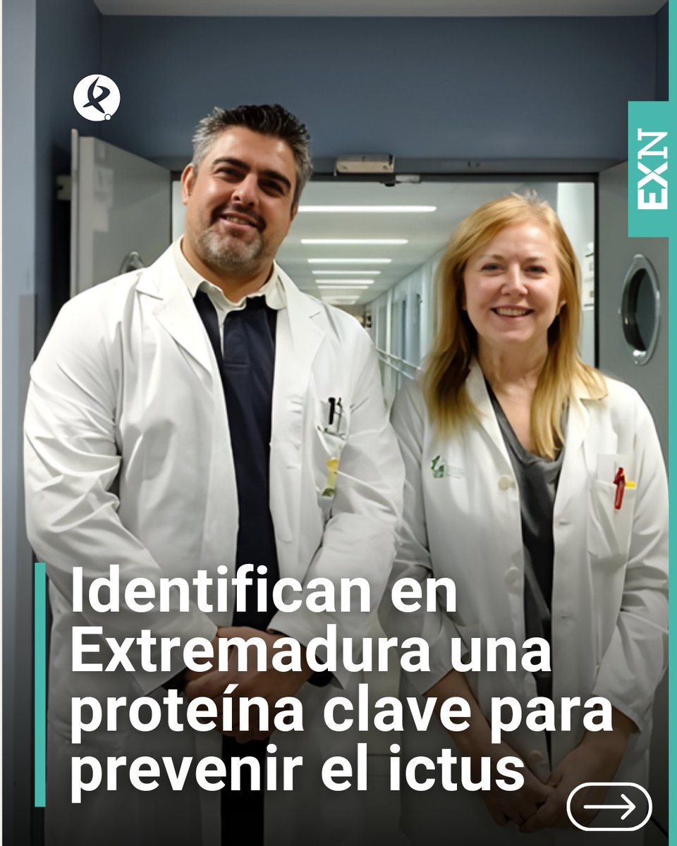 Un estudio de la Universidad de Extremadura y del Hospital San Pedro de Alcántara identifica una proteína clave para prevenir el ictus

canalextremadura.es/noticias/extre…
