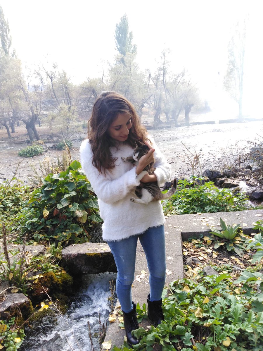 Sabahları uyandırmaya kıyamadığım kızımı öldürdüler. 6 yıldır sokak sokak ADALET aranır mı? Kızım neden yaşamıyor bugün üniversiteden eve gelecekti neden gelemedi neden içinde olmayan suyun başında bir yıl bekledik, kızımızın bedeni nerede? katiller 6 yıldır tatilde. <a href="/yilmaztunc/">Yılmaz TUNÇ</a>