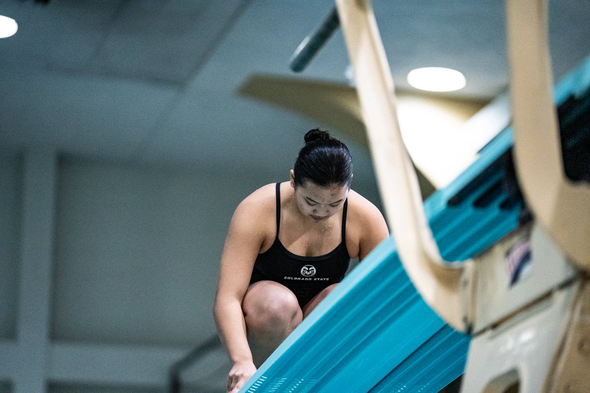 CSUSwimDive's tweet image. 𝐃𝐈𝐕𝐈𝐍’ 𝐈𝐍𝐓𝐎 the day 😤

#Relentless x #CSURams
