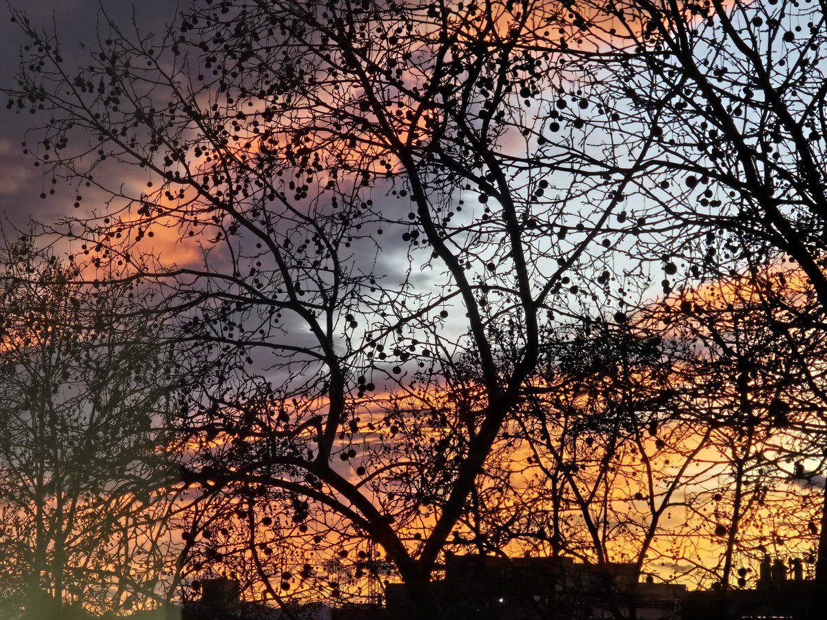gramareus's tweet photo. Les ratxes màximes de vent de nivell groc de 70km/h que han bufat a Reus tot el dia d'avui ens han deixat aquest cel...🧡🩶❤️
#reus #vent #ratxes #viento @1967fct @JRovireta @Granada_Meteo @ecazatormentas @SoniaPapell @StormHour @SeguimlaMeteo https://t.co/qTtyz1nufj