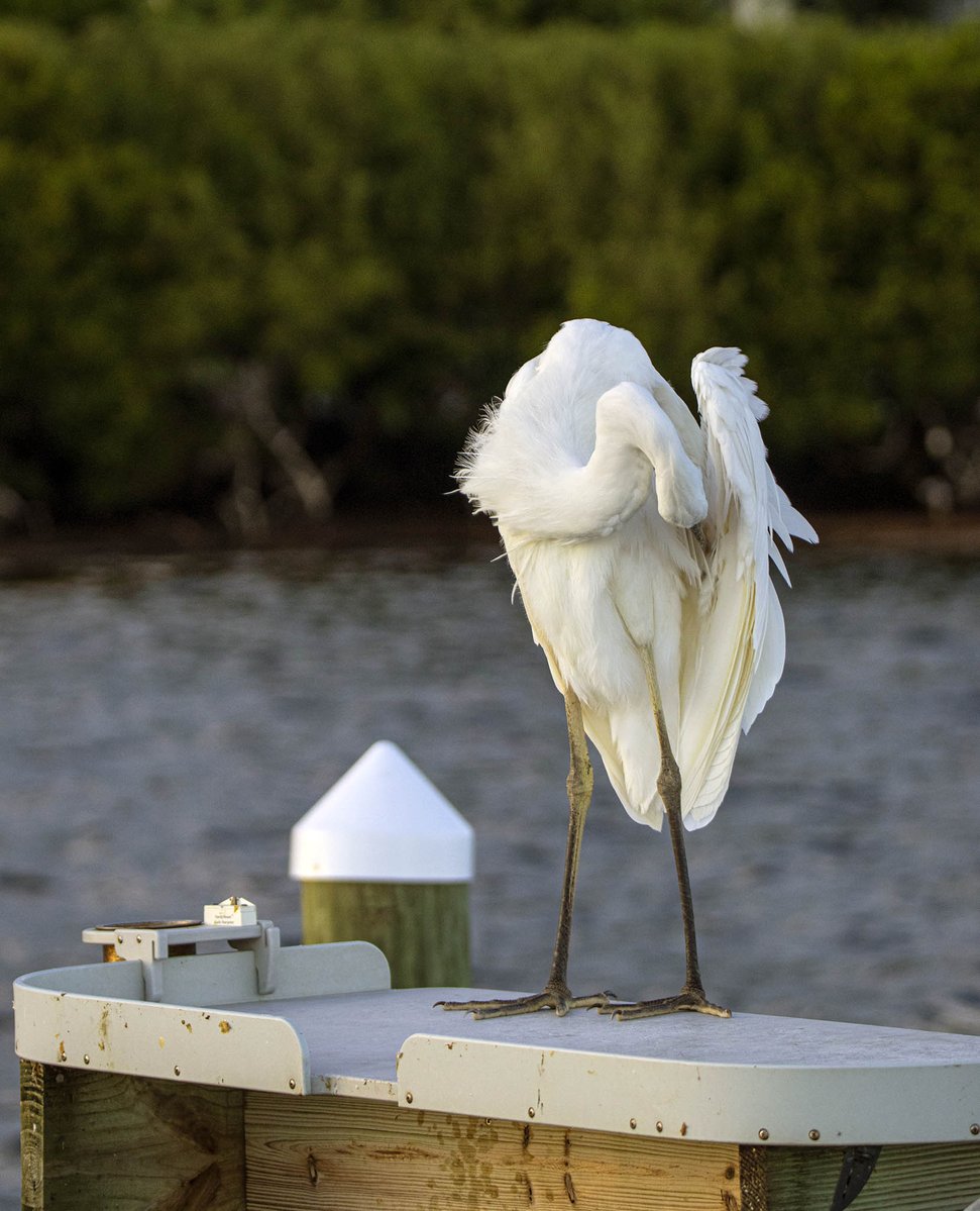 NotJackLinFL's tweet image. Me looking at the winter storm posts on X