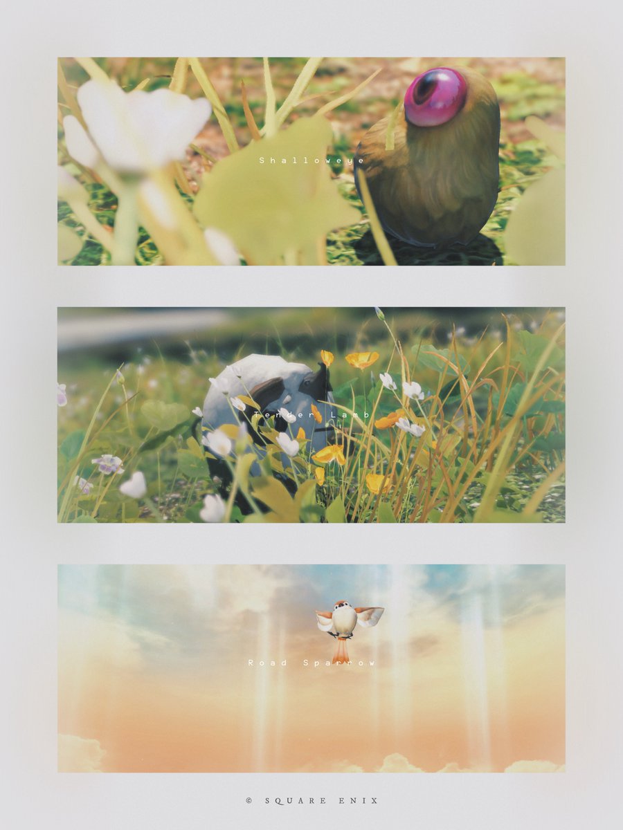 ﾙﾝﾙﾝトリオ 🍐🐑🟤