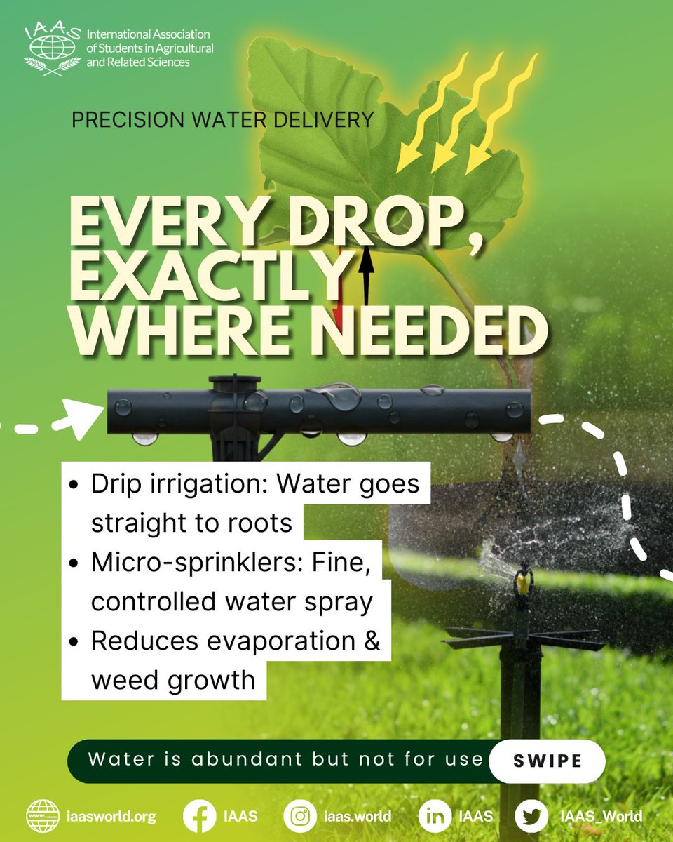 IAAS World tweet media