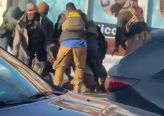 ✦✦✦ 𝙿𝚊𝚖𝚙𝚑𝚕𝚎𝚝𝚜 ✦✦✦ tweet media