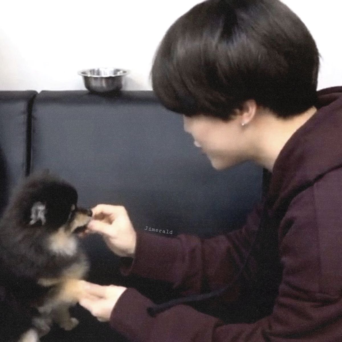 acervopjm's tweet image. 🚨ASSUNTO SÉRIO 

Como uma página de fãs do Jimin, não poderíamos fechar os olhos diante uma situação de crueldade como essa, e nem nos calar diante o absurdo que aconteceu com o Orelha em Florianópolis

Maus-tratos é CRIME, e os culpados devem pagar por isso.
#JustiçaPorOrelha.