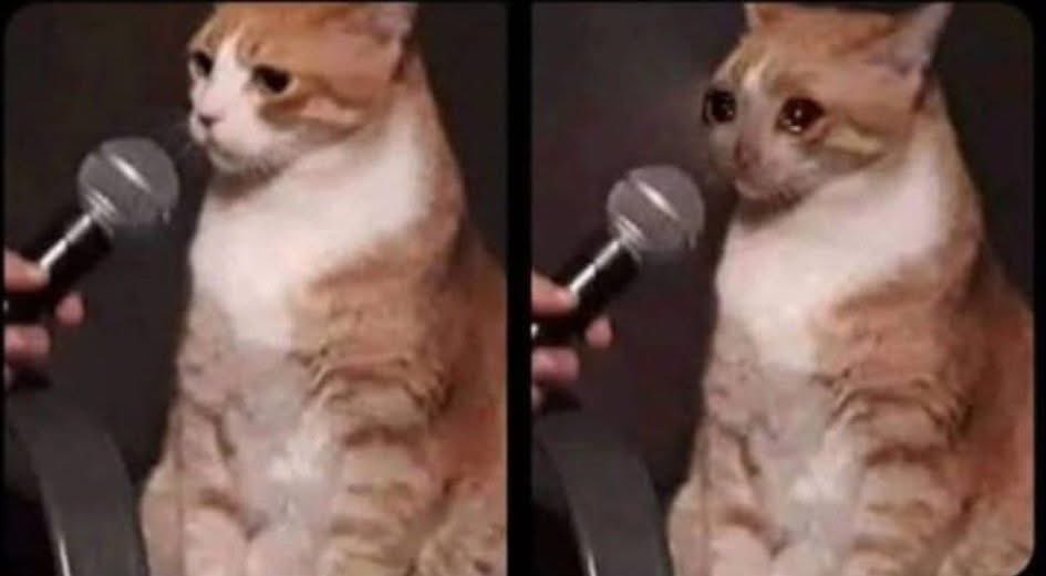 👤: irás al concierto de bts ??
yo: