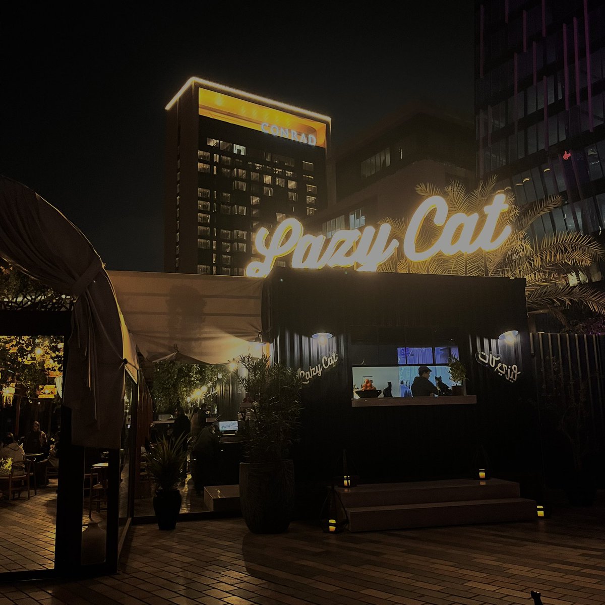 RAD. جميلة 🎓 tweet media