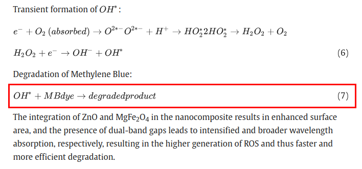 A random cat tweet media