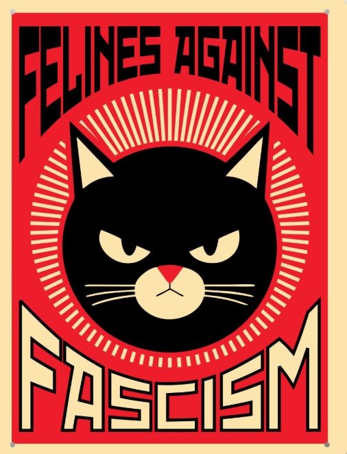 LorenzoTheCat's tweet image. We always have been and always will be. #minneapolis