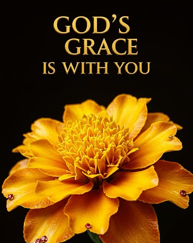 The__Bible7's tweet image. Amen