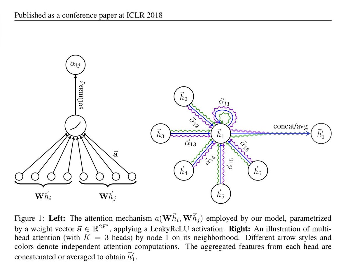 Petar Veličković tweet media
