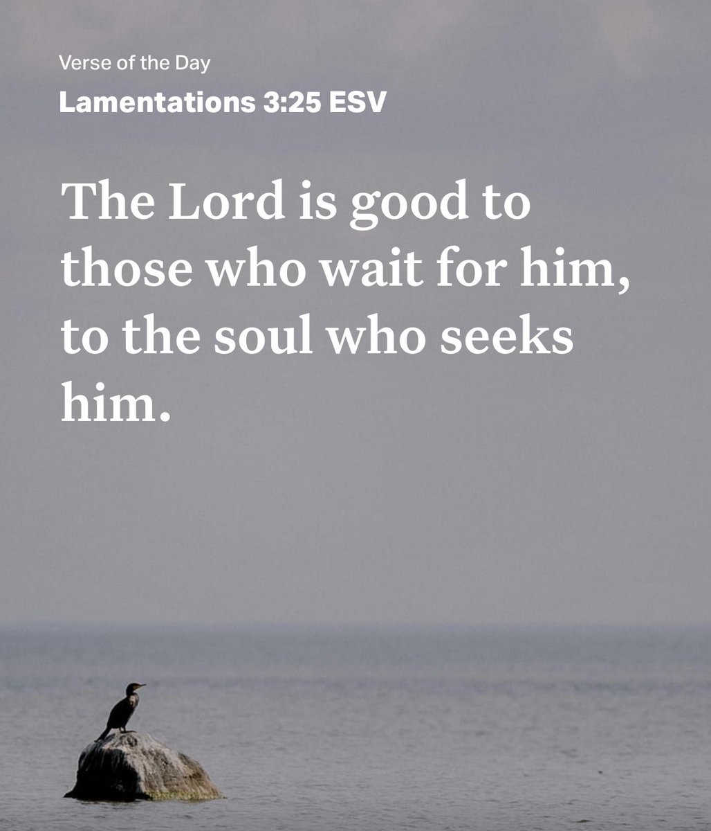 Alex Dunn tweet media