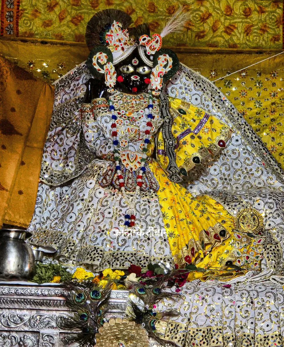 ठाकुर श्री बांके बिहारी लाल जू 🦚
