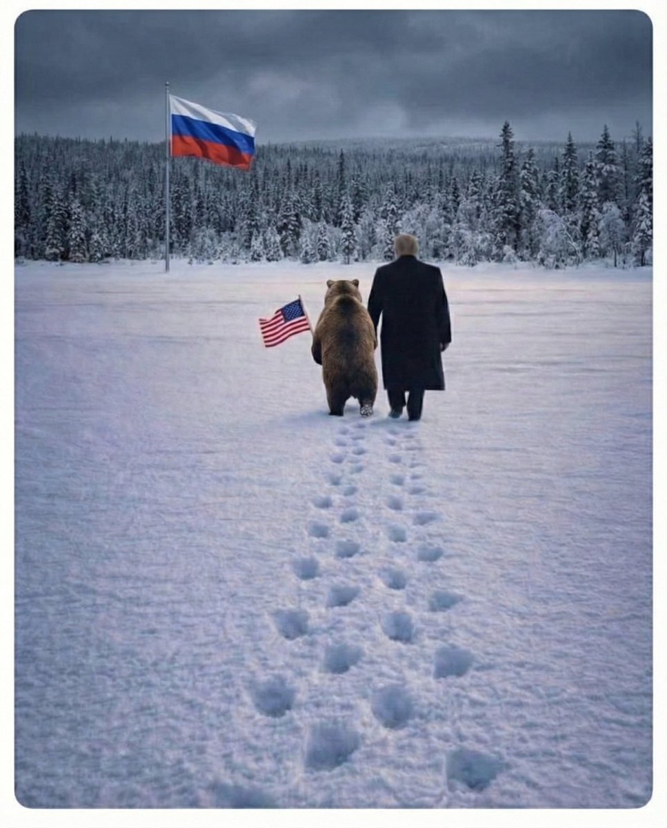 Технослав Бергамот tweet media