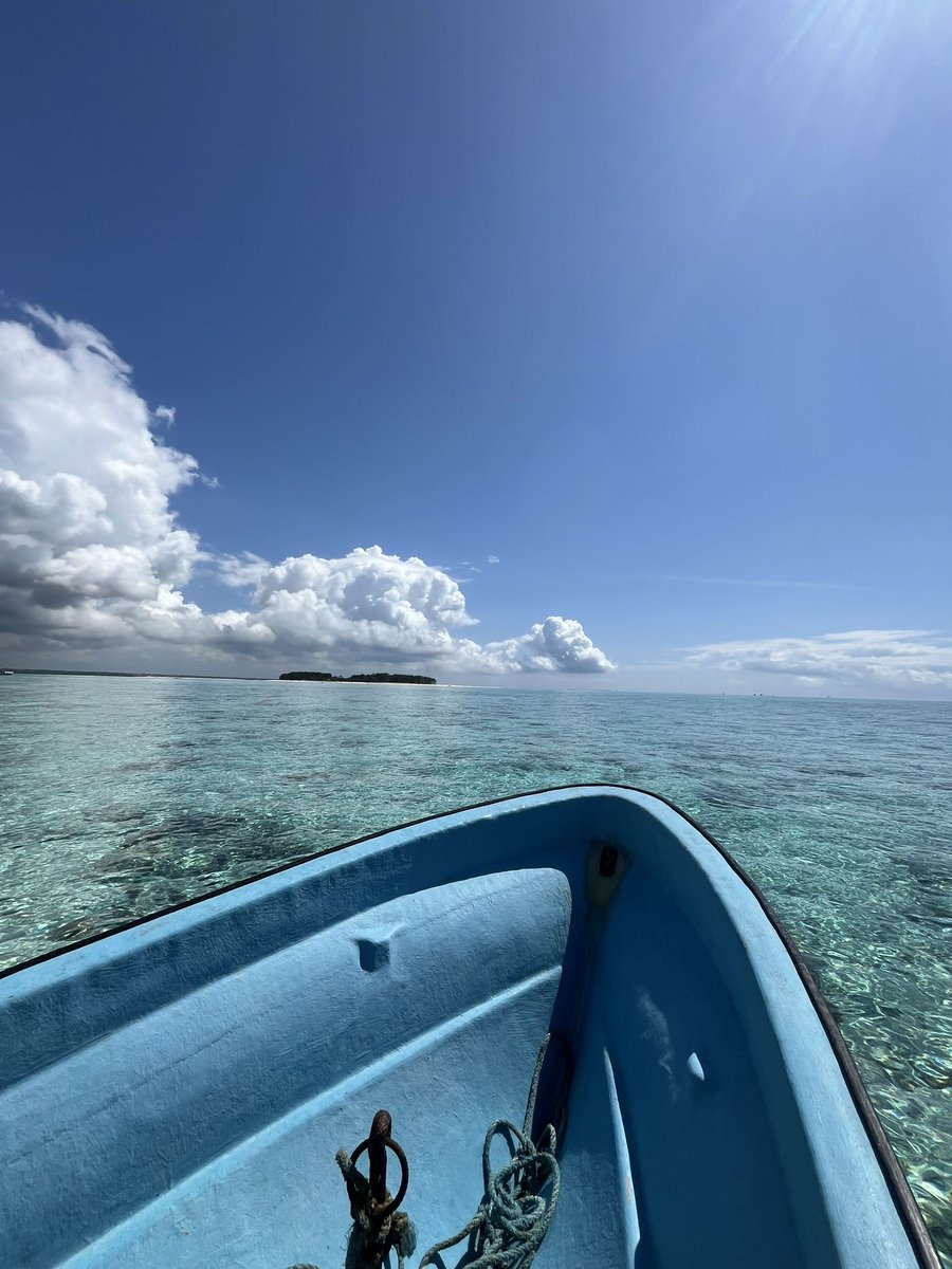 S4_ryy's tweet image. C'est pas une compétition mais...