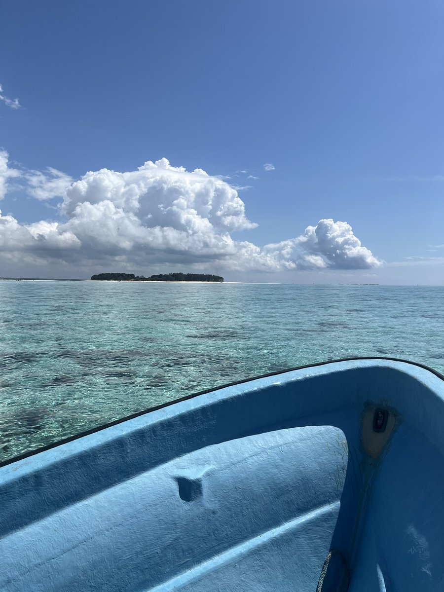 S4_ryy's tweet image. C'est pas une compétition mais...