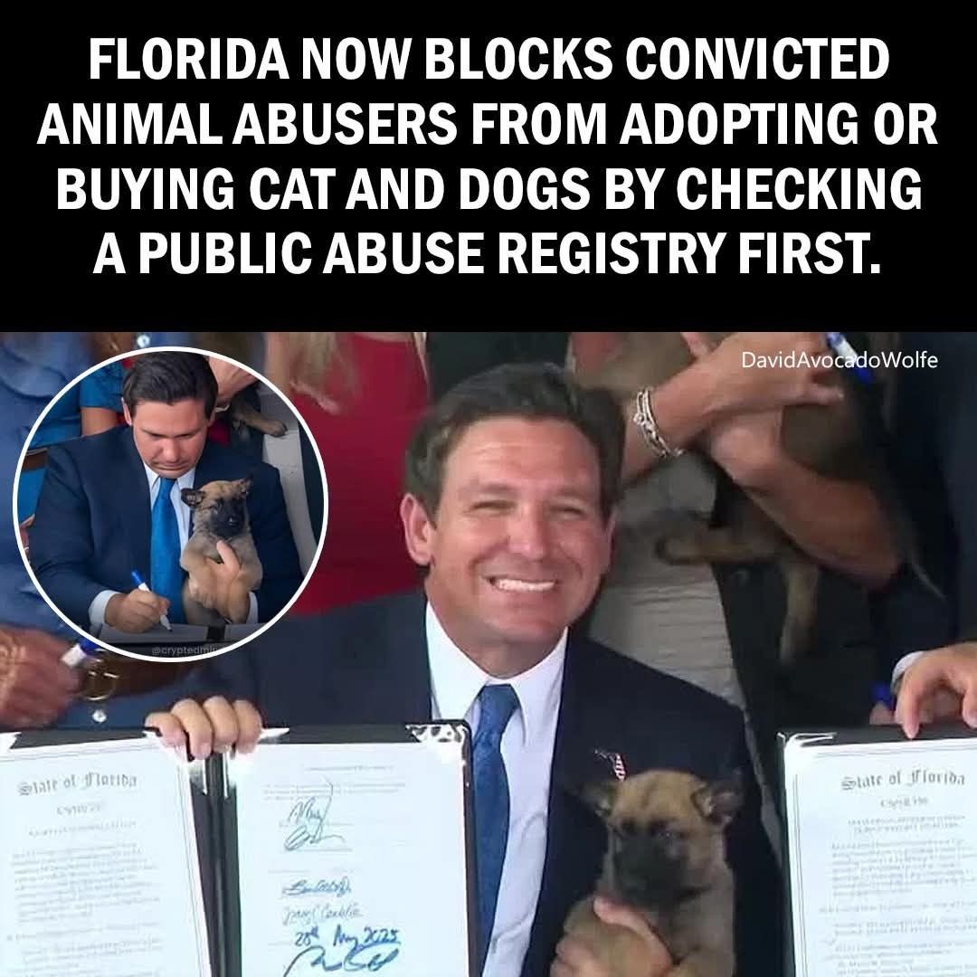 David Wolfe (@davidwolfe) on Twitter photo 