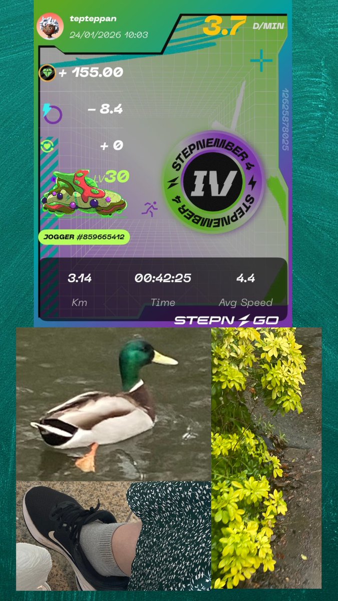 #STEPNGO #StreetHunt #Green #STEPN

今週は『緑を探せ！』でした
これ来週以降も続くのかな