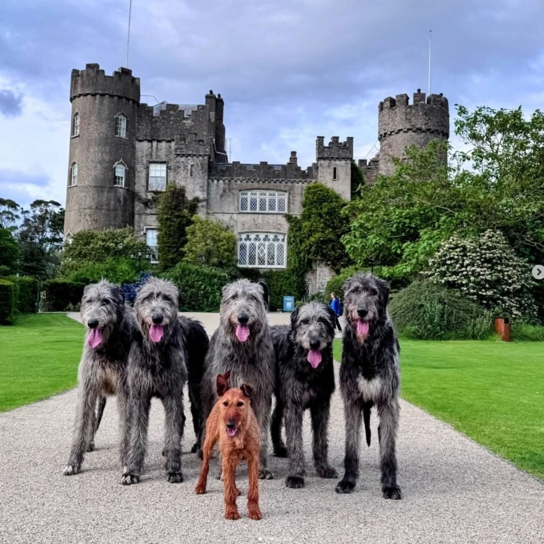 ArronMerrell's tweet image. 