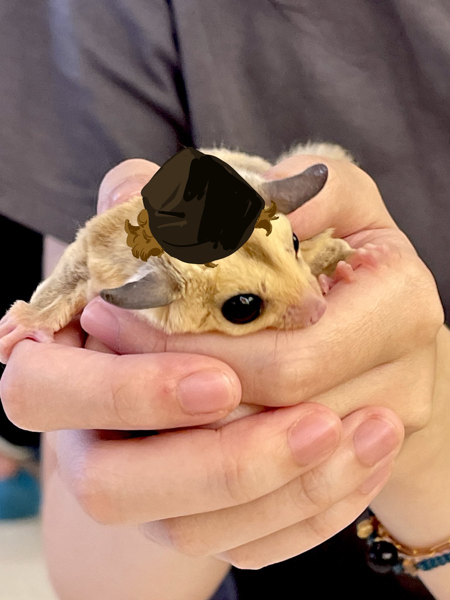 GillElijah (@gille035) on Twitter photo 