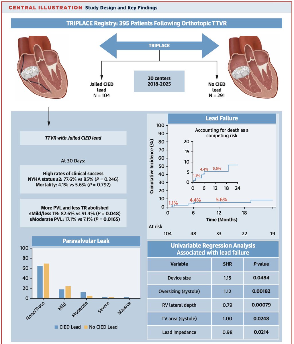 Andrea Scotti tweet media