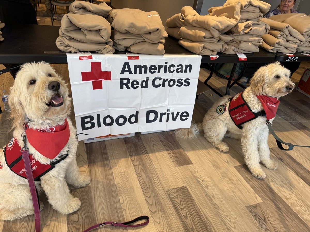 HVPaws4Cause's tweet image. Giving blood saves lives — and spreading a little doggie love doesn’t hurt either🩸🐶
Finnegan and Seamus shared gratitude and comfort with the donors at the @redcrossny blood drive at West Point, New York ⛑️🐾 @WestPoint_USMA 
#therapydogs #blooddrive #redcrossvolunteer