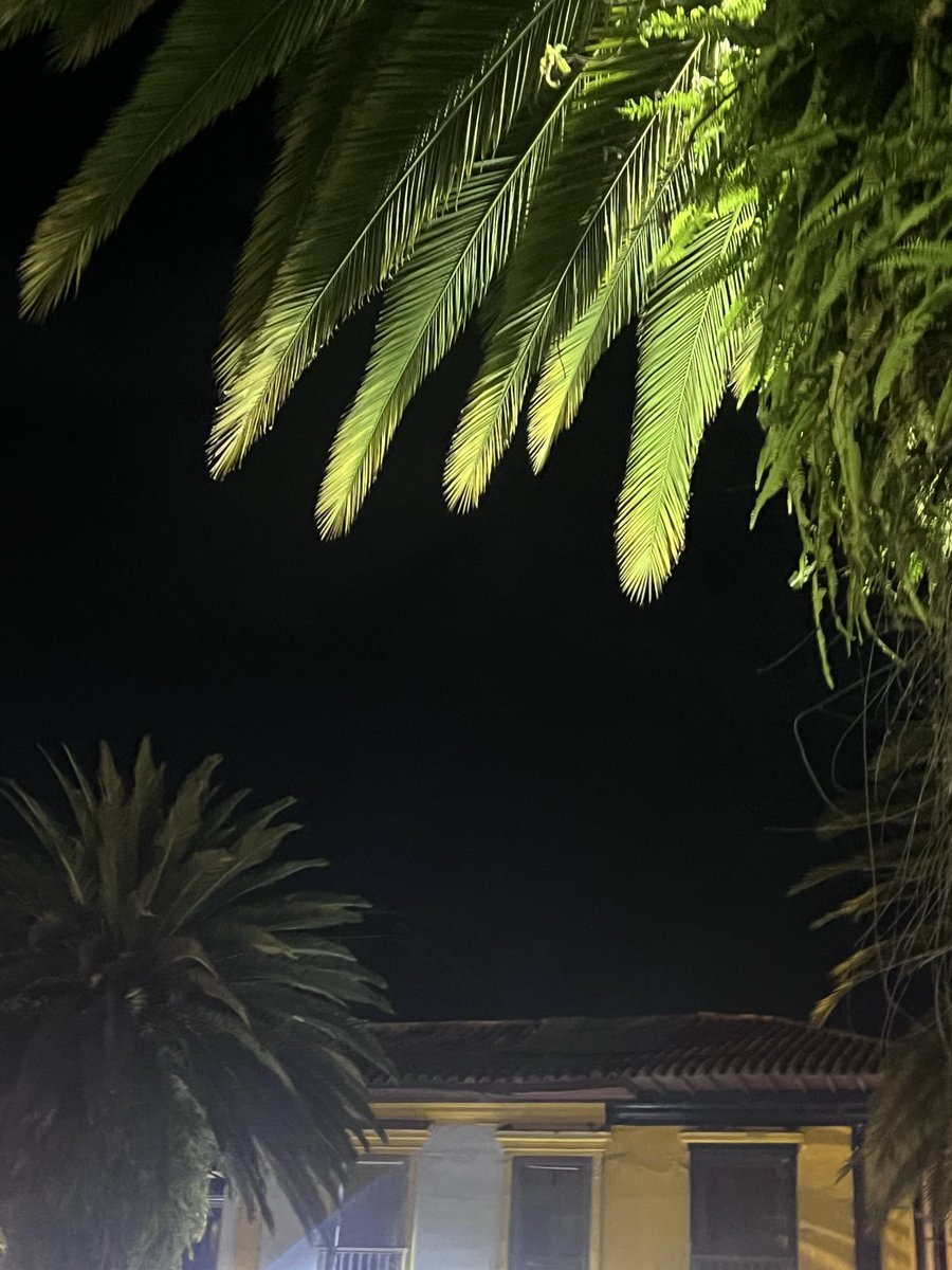 DayMoon44's tweet photo. No hay nada como la hermosa noche 🌙✨✨ https://t.co/Iydr5cslwl