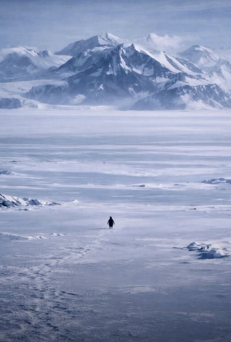 benkohlmann's tweet image. Defense tech, circa 2012.

You are known - Thank you.