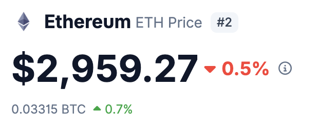 Reflection🪩 tweet media