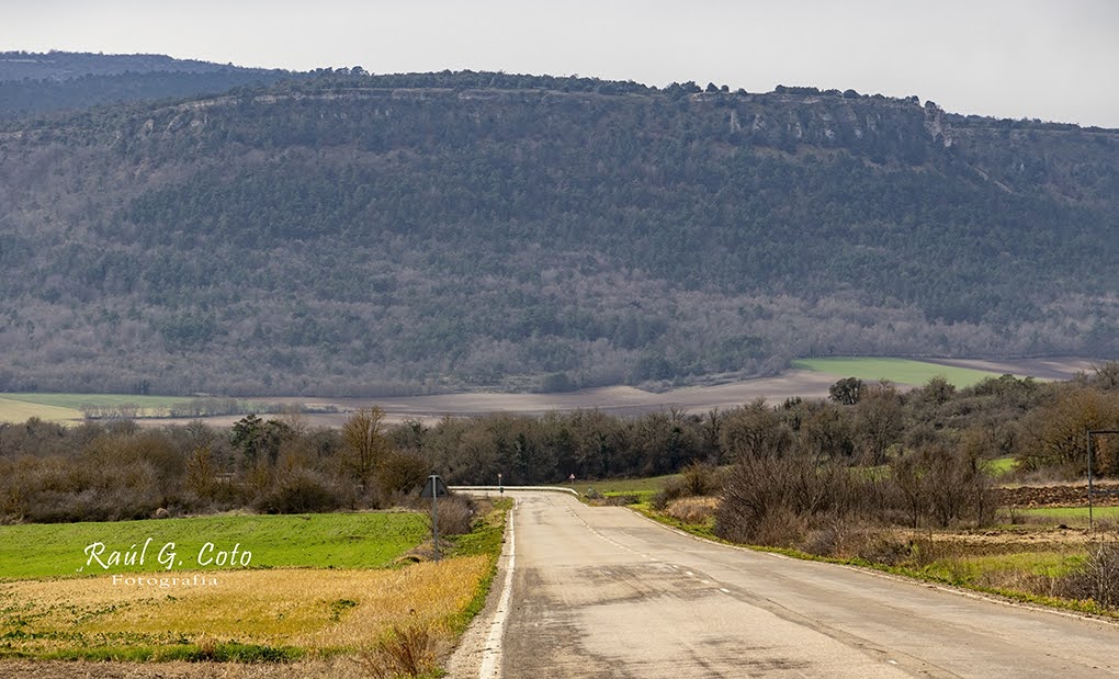 Valle de Losa (Burgos) #ValleDeLosa #ValleDeLosaBurgos #Burgos #LasMerindades #NaturalezaBurgos #SenderismoBurgos #TurismoBurgos #CastillaYLeon #BurgosRural #PatatasDeLosa #MonteSantiago #SanPantaleonDeLosa #RománicoBurgos #PaisajesBurgos #BurgosTeEspera #ExploraBurgos