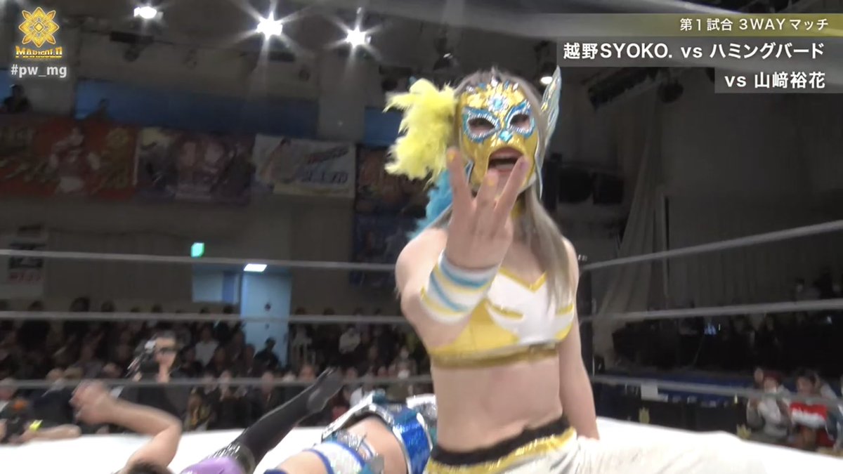  ハミングバード 15cm プレート aq12273 ハミングバード シュガー、ティーポット、クリーマー|WEDGWOOD公式